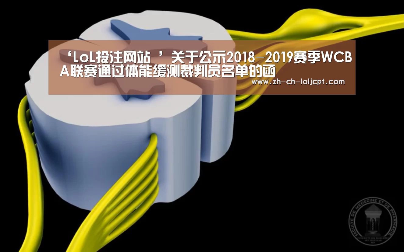  2026年最佳英雄联盟投注网站