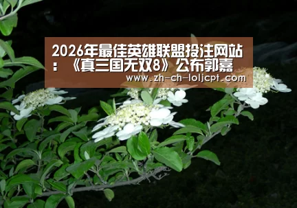 2026年最佳英雄联盟投注网站:《真三国无双8》公布郭嘉人设图 曹操最信任的谋士(图2) 2026年最佳英雄联盟投注网站
