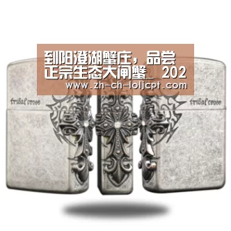 LoL投注网站 