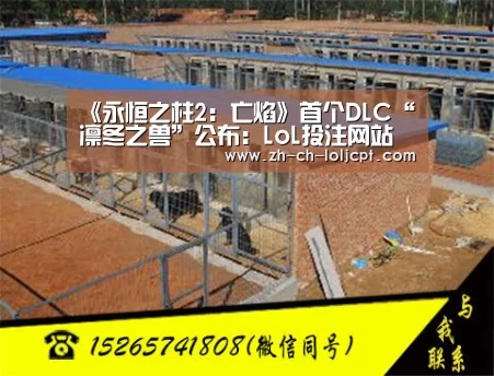 LoL投注网站 