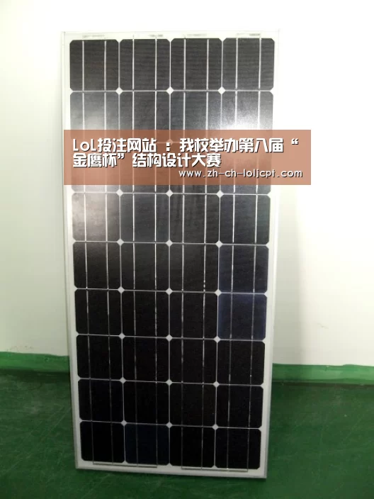 LoL投注网站 