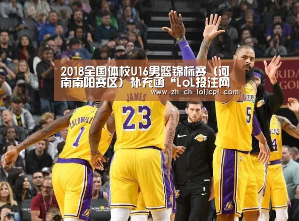 2018全国体校U16男篮锦标赛（河南南